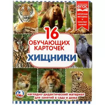 Карточки в папке - Хищники, 16 карточек