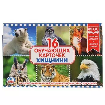 Карточки в папке – Хищники, 16 карточек