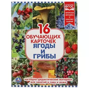 Карточки в папке - Ягоды и грибы, 16 карточек