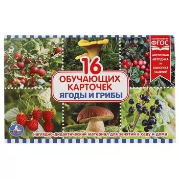 Карточки в папке – Ягоды и грибы, 16 карточек