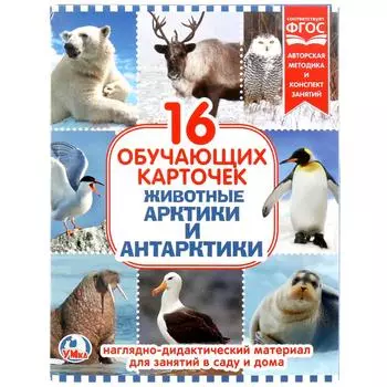 Карточки в папке – Животные Арктики и Антарктиды, 16 обучающих карточек