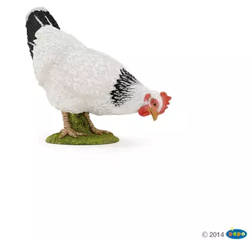 Клюющая белая курица