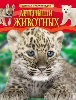 Книга «Детеныши животных»