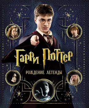 Книга Гарри Поттер. Рождение легенды