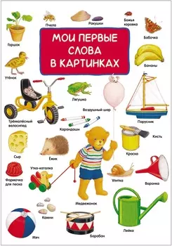 Книга - Мои первые слова в картинках