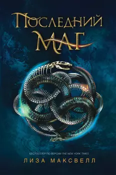 Книга - Последний маг. 1. Последний маг