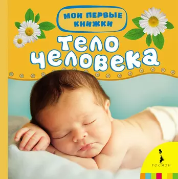 Книга - Тело человека из серии Мои первые книжки