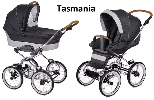 Коляска 2 в 1 - Navington Caravel, колеса 14", tasmania
