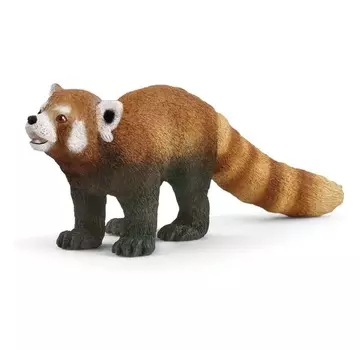 Красная панда