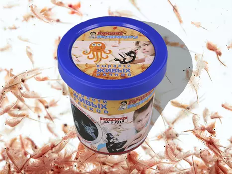 Микро-набор для экспериментов - Вырасти живого рачка