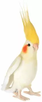Мягкая игрушка – Австралийский попугай, 23 см