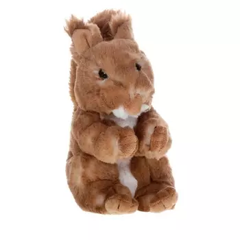Мягкая игрушка – Белка, 20 см