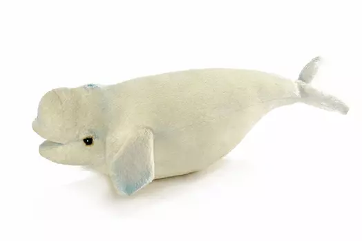 Мягкая игрушка – Белуха, 25 см