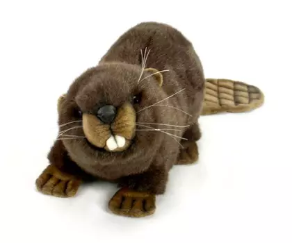 Мягкая игрушка – Бобр, 32 см