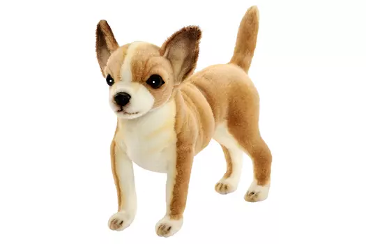 Мягкая игрушка – Чихуахуа, 27 см.