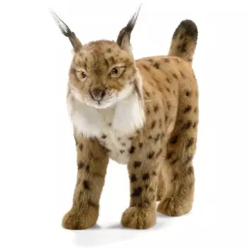 Мягкая игрушка – Испанская рысь, 35 см.