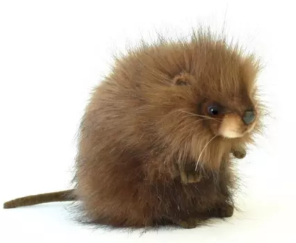 Мягкая игрушка – Ондатра, 22 см