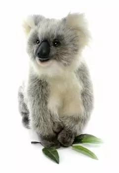Мягкая игрушка – Счастливая коала, 23 см
