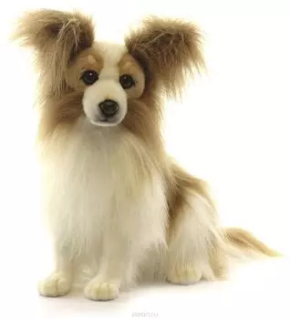 Мягкая игрушка – Собака породы папийон. 41 см
