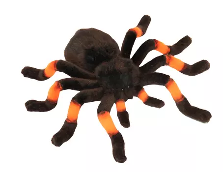 Мягкая игрушка – Тарантул, оранжевый, 30 см
