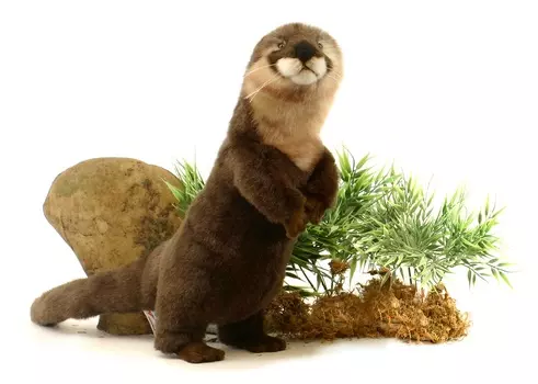 Мягкая игрушка - Выдра стоящая, 35 см.