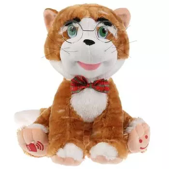 Музыкальная мягкая игрушка Дружинина - Ученый кот Матвей, 25 см