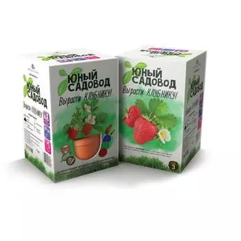 Набор для экспериментов - Юный садовод - Вырасти клубнику