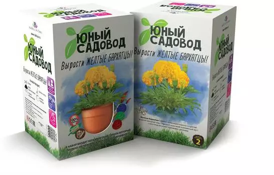 Набор для экспериментов Юный садовод - Вырасти желтые бархатцы