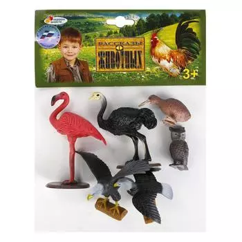 Набор из 6-и птиц: дикие и домашние