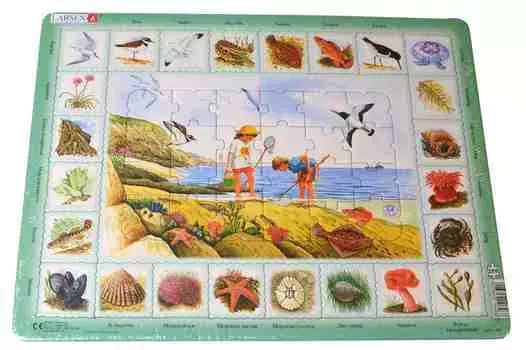 Обучающий пазл – Побережье, русский, 48 деталей