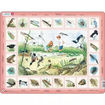 Обучающий пазл – Пруд, русский, 48 деталей