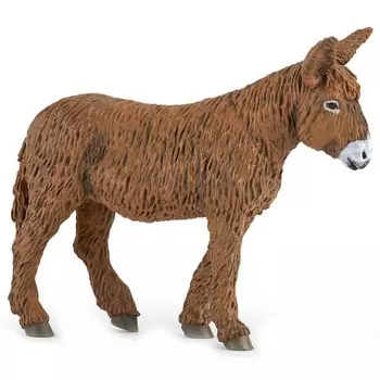 Ослик Пуату