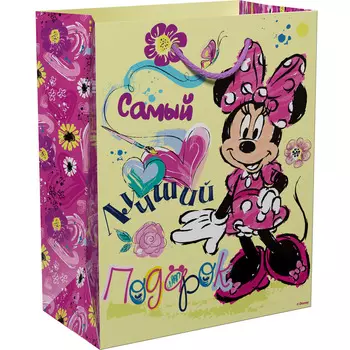 Пакет подарочный - Самый лучший подарок, 23 х 18 х 1 см