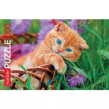 Пазл 1000 элементов – Котенок в корзинке