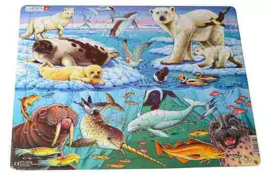 Пазл – Арктика, 75 элементов