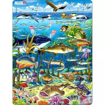 Пазл – Водоросли, 60 деталей