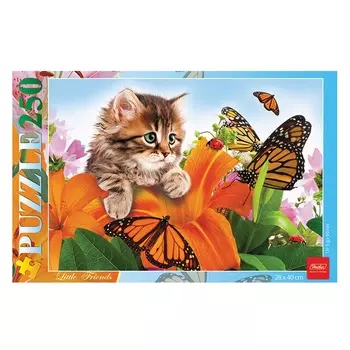 Пазлы 250 элементов – Котенок в цветах