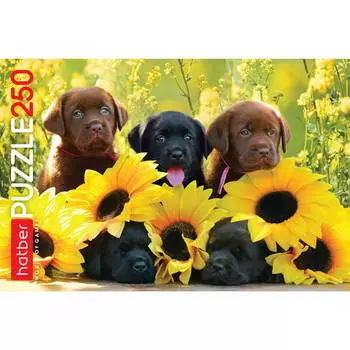 Пазлы 250 элементов – Щенки