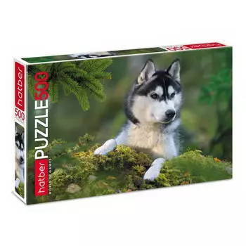 Пазлы 500 элементов – Любимец