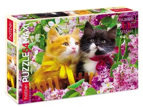 Пазлы 54 элемента Maxi - Два котенка