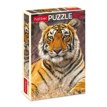 Пазлы – Тигр, 250 элементов, А3 формат