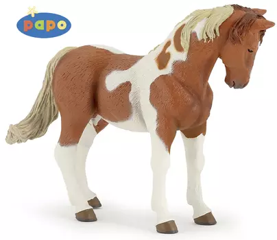 Пегая лошадь