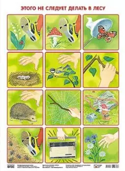 Плакат Николаева С. Н. - Этого не следует делать в лесу