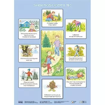 Плакат Николаева С. Н. - Зачем люди ходят в лес