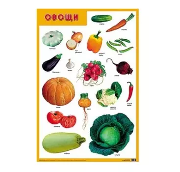 Плакат - Овощи