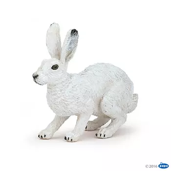 Полярный заяц