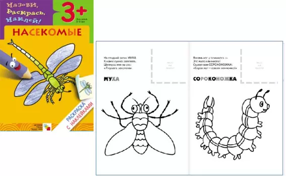 Раскраска с наклейками – Насекомые