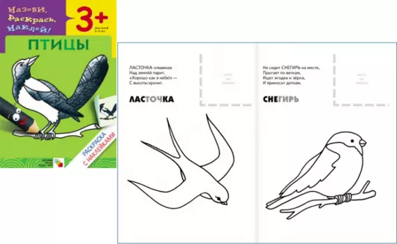 Раскраска с наклейками – Птицы