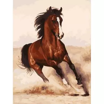 Раскраски по номерам – Галоп, 40 х 30 см