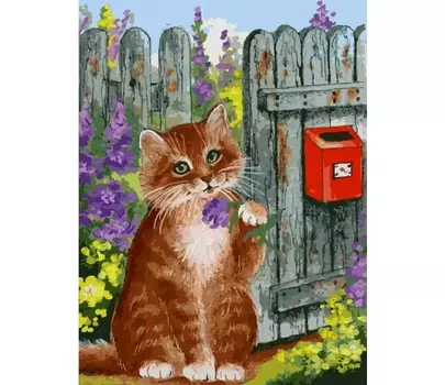 Раскраски по номерам - Картина Ожидание письма, 30 х 40 см